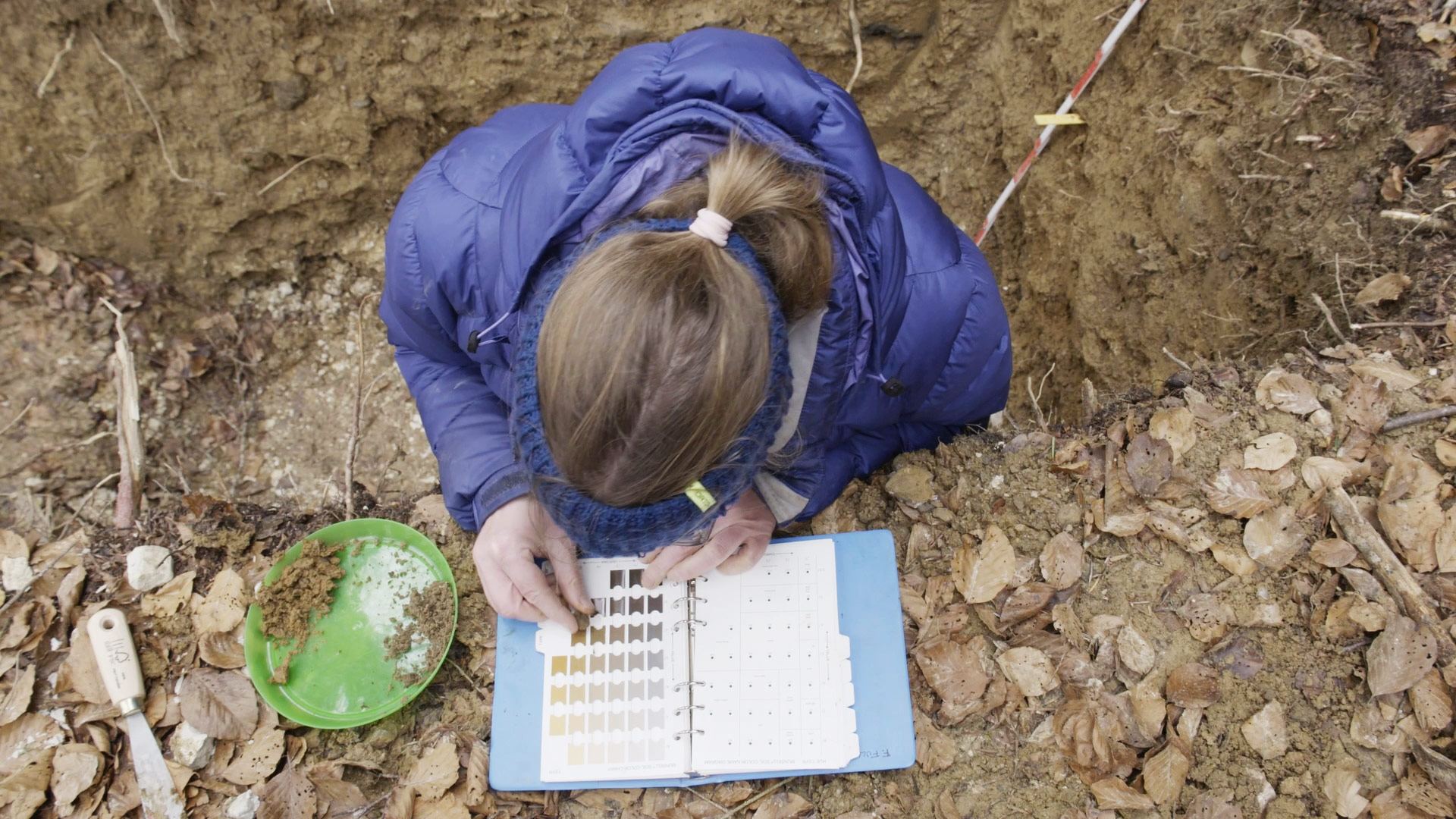 Détection du niveau de PH dans le sol